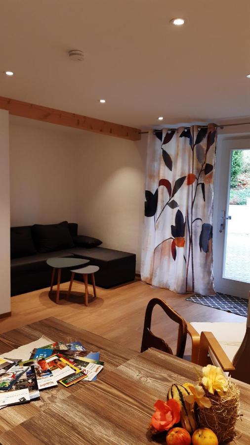 Appartement Biohof Seifert à Altenberg  Extérieur photo